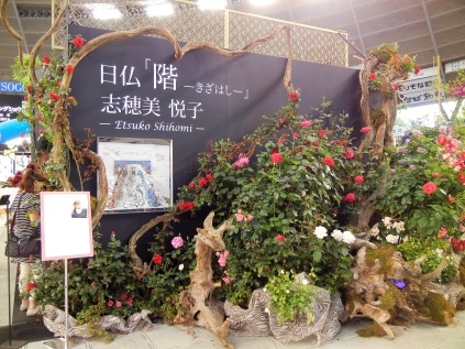 DSCN2873 (2) / / / / / DSCN2873 (2) / / / / /