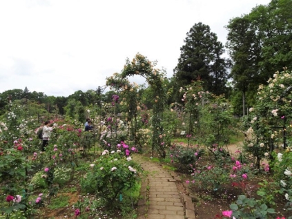 DSC09979 - ԡ / / / / / /