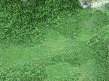 20160616_1008_26_0959w259_h194 20160616_1008_26_0959w259_h194