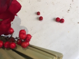 とれた南天・・ とれた南天・・