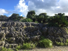 鎖之間からの眺め 鎖之間からの眺め