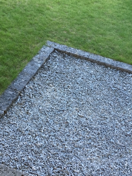 サンゴ! サンゴ!