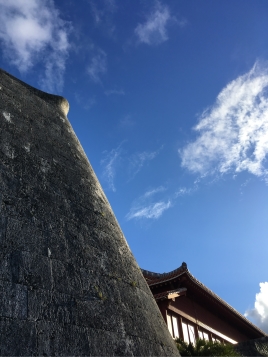 琉球石灰岩の城壁 琉球石灰岩の城壁