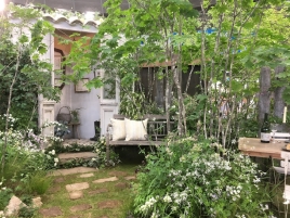 ClipboardImage ClipboardImage