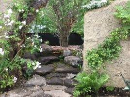 ClipboardImage ClipboardImage