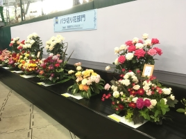 ClipboardImage ClipboardImage