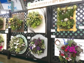 ClipboardImage ClipboardImage