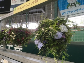 ClipboardImage ClipboardImage