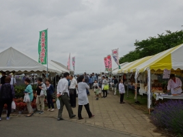 イベント イベント
