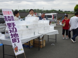 ホタテの山 ホタテの山