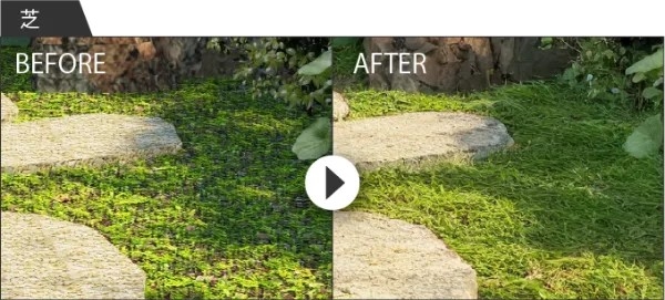 AI�ե��륿��