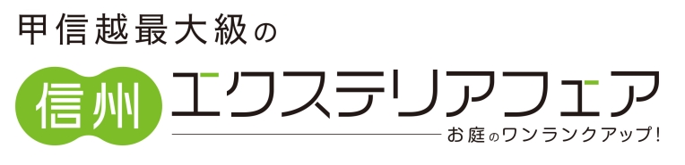 shin-1 shin-1