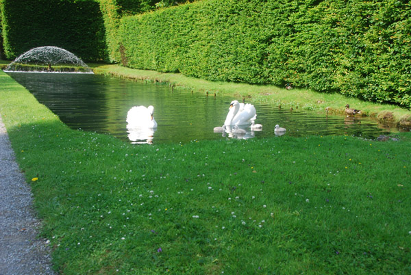 %A1%CC%B3%C8%C2%E7%BF%DE%A1%CD