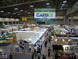 popup_800_600_ON popup_800_600_ON