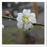 popup_600_600_ON popup_600_600_ON