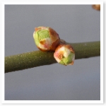 popup_600_600_ON popup_600_600_ON