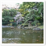 popup_620_465_ON popup_620_465_ON