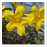 popup_600_600_ON popup_600_600_ON