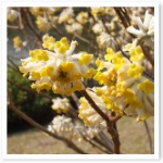 popup_600_600_ON popup_600_600_ON