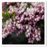 popup_800_536_ON popup_800_536_ON