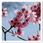 popup_800_536_ON popup_800_536_ON