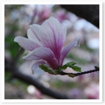 popup_800_536_ON popup_800_536_ON