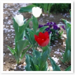 popup_536_800_ON popup_536_800_ON