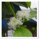 popup_600_600_ON popup_600_600_ON