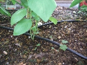 popup_620_465_ON popup_620_465_ON