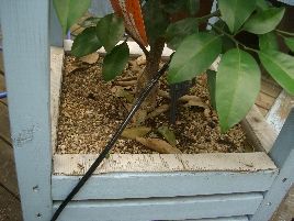 popup_620_465_ON popup_620_465_ON