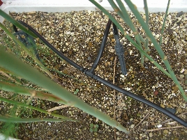 popup_620_465_ON popup_620_465_ON