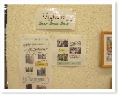 popup_615_496_ON popup_615_496_ON