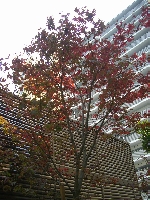 popup_600_800_ON popup_600_800_ON