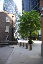 popup_536_800_ON popup_536_800_ON