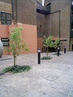 popup_425_567_ON popup_425_567_ON