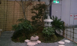 popup_800_480_ON popup_800_480_ON