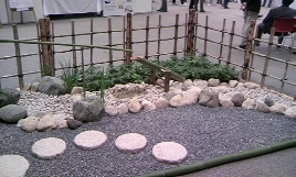 popup_800_480_ON popup_800_480_ON