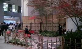 popup_800_480_ON popup_800_480_ON