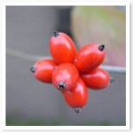 popup_600_600_ON popup_600_600_ON