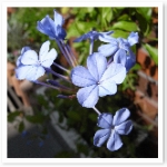 popup_600_600_ON popup_600_600_ON