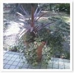 popup_484_476_ON popup_484_476_ON