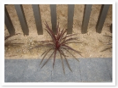 popup_620_465_ON popup_620_465_ON