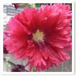 R0017626.JPG R0017626.JPG