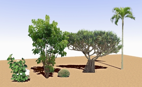 20090828_1159_02_0234w559_h344_popup.JPG 20090828_1159_02_0234w559_h344_popup.JPG