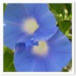 RIMG0100.JPG RIMG0100.JPG