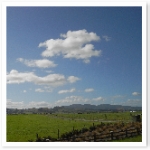 R0018657.JPG R0018657.JPG