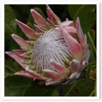 PB080698.JPG PB080698.JPG