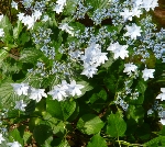 NiwaNaviImage NiwaNaviImage