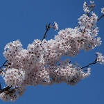 ScreenShotImage.bmp ScreenShotImage.bmp