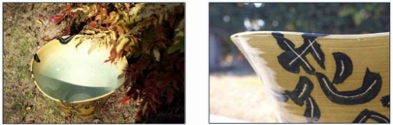 NiwaNaviImage NiwaNaviImage